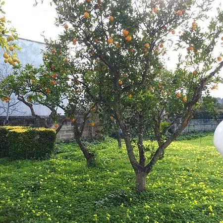 Casa de Férias Raffaela *